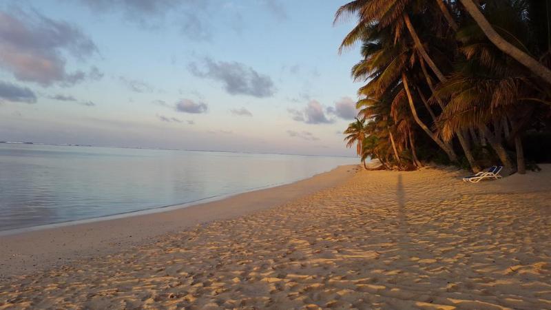 Little Polynesian Resort Rarotonga Exterior foto
